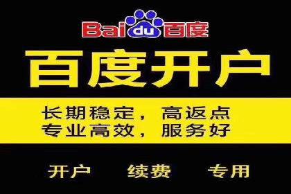 SEM推广案例：数据分析与优化